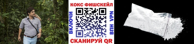 кракен ТОР  Новозыбков  Кокаин FishScale  где купить  