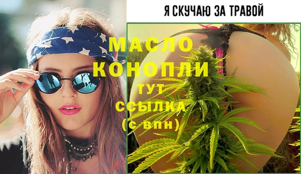 индика Медвежьегорск