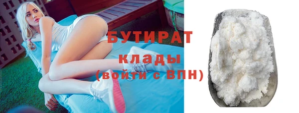 индика Медвежьегорск