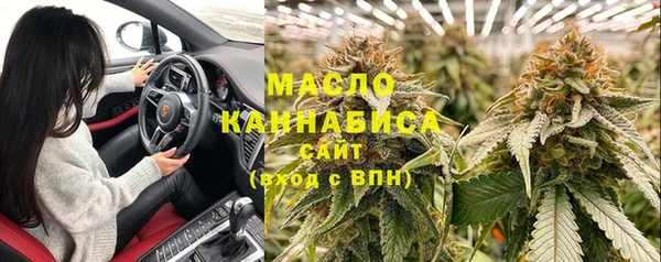 индика Медвежьегорск