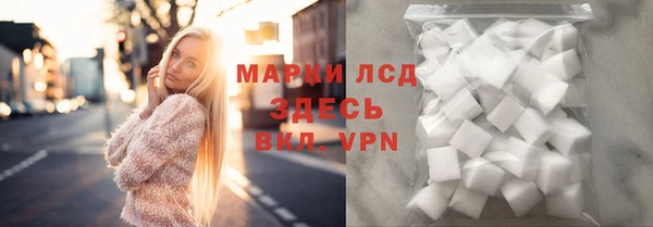индика Медвежьегорск