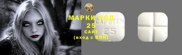 индика Медвежьегорск