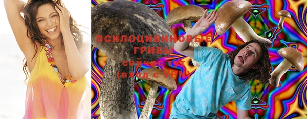 индика Медвежьегорск