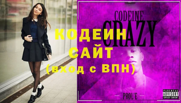 индика Медвежьегорск