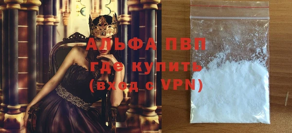 индика Медвежьегорск