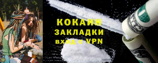 индика Медвежьегорск