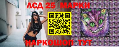 PSILOCYBIN Заводоуковск