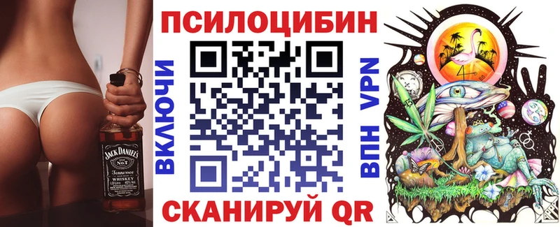 omg рабочий сайт Новозыбков Галлюциногенные грибы Cubensis