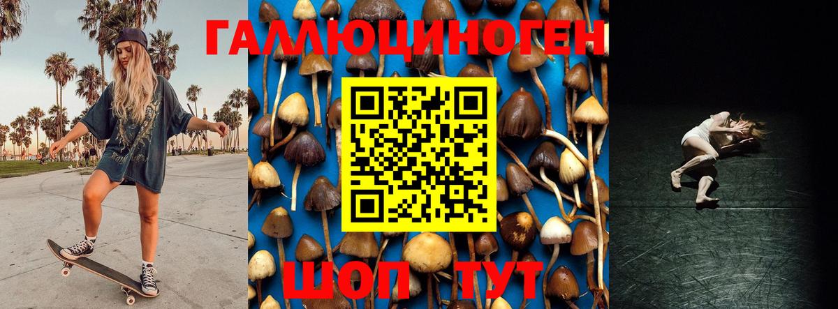 Псилоцибиновые грибы Magic Shrooms Новозыбков