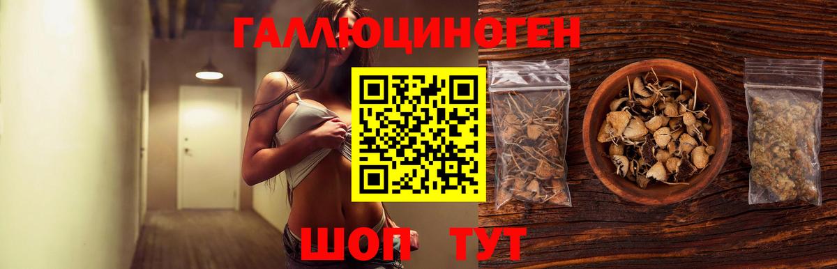 Новозыбков  Галлюциногенные грибы Magic Shrooms  Вход с VPN 